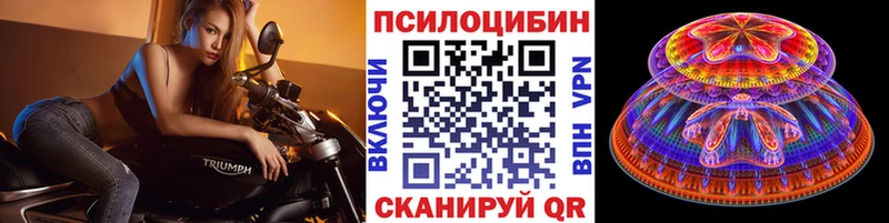 Псилоцибиновые грибы GOLDEN TEACHER  где купить   Россошь 