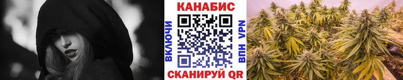 купить наркотики цена  гидра рабочий сайт  Бошки марихуана сатива  Россошь 